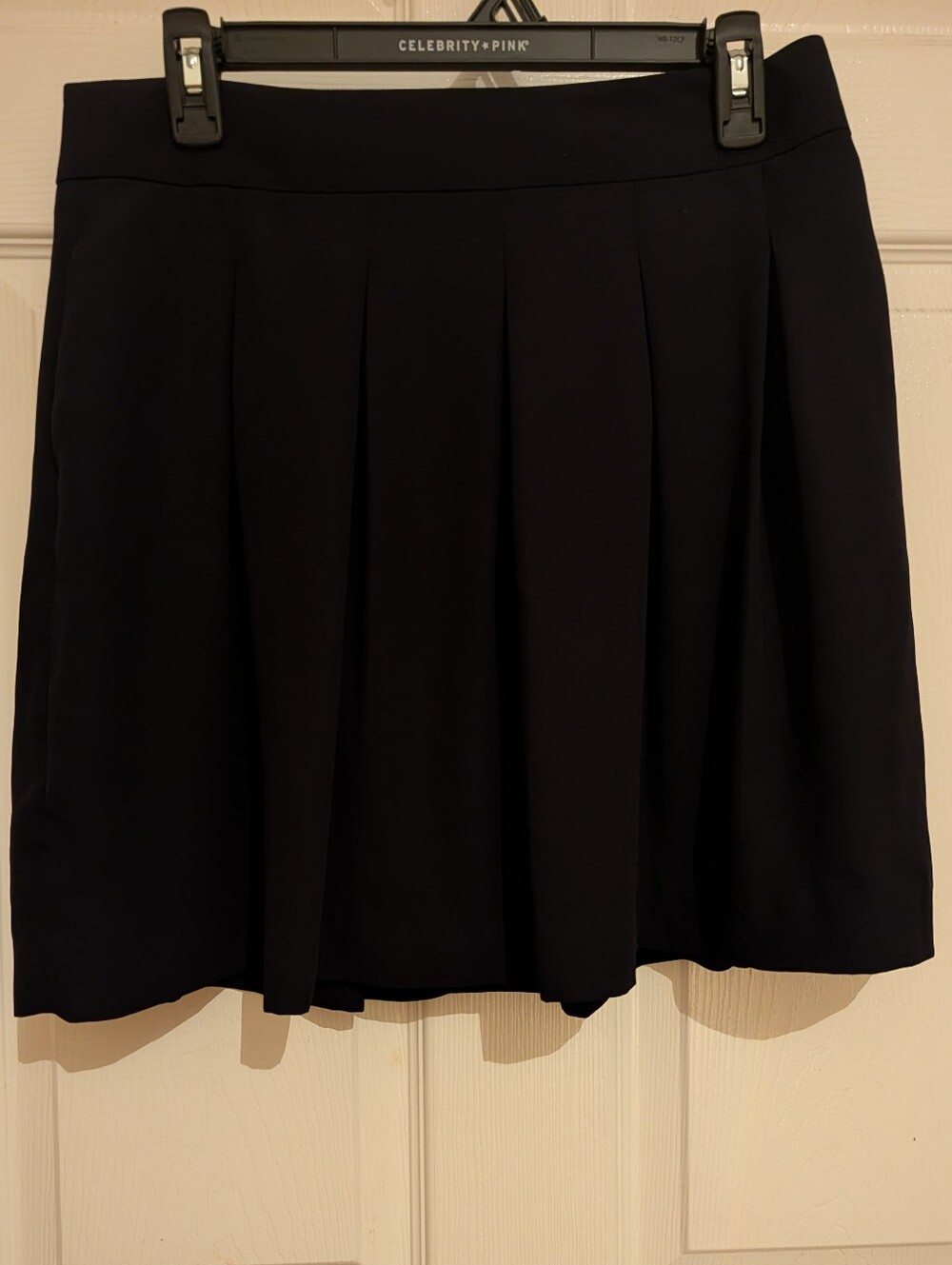 Celebrity Pink Black Pleated Mini Skirt